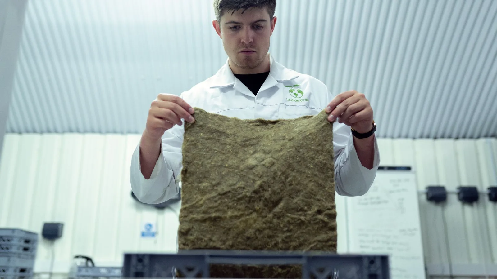 CDTI busca una empresa española para desarrollar con Egipto nuevos envases contra las plagas del grano