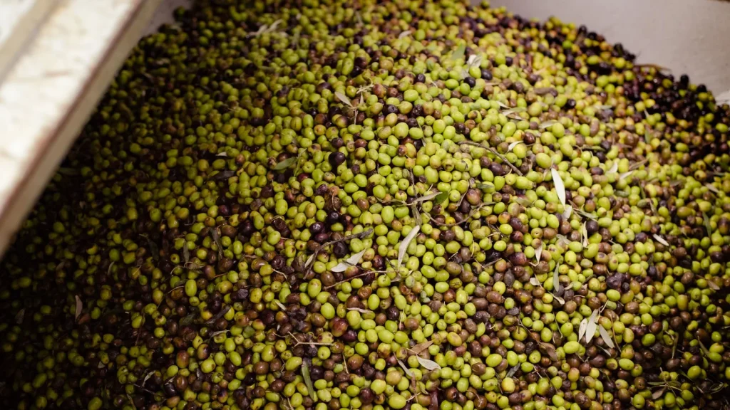 Industria agroalimentaria y procesos de transformación de alimentos