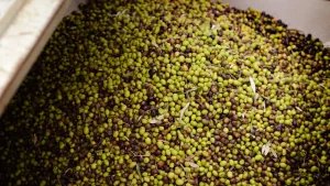 La industria de alimentación y bebidas recibirá 580.949 euros para actuaciones sectoriales en 2026