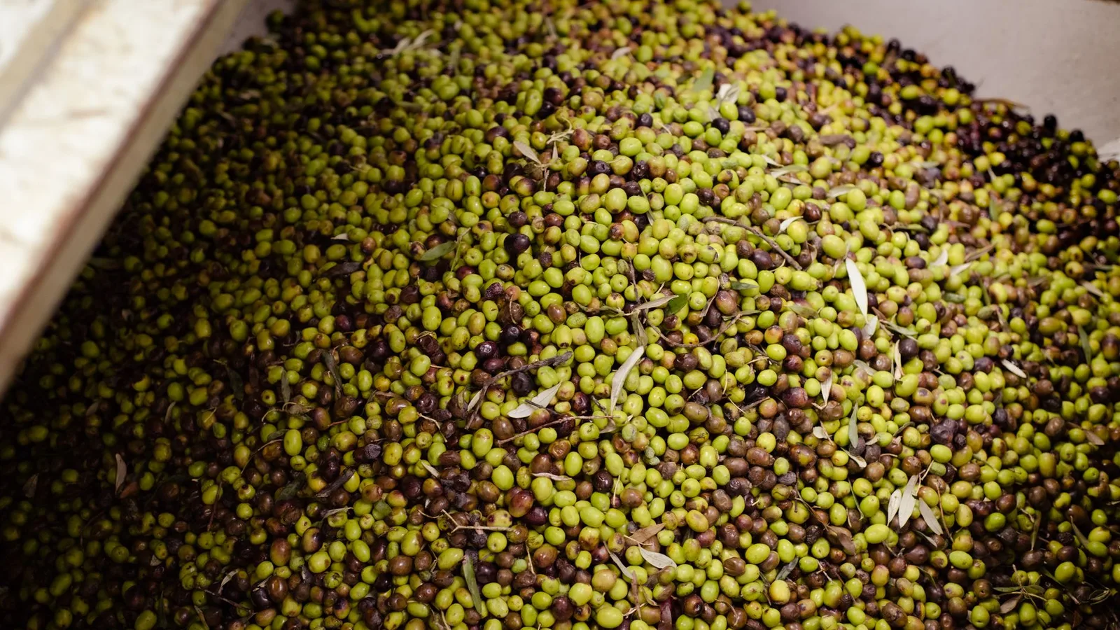 La industria de alimentación y bebidas recibirá 580.949 euros para actuaciones sectoriales en 2026