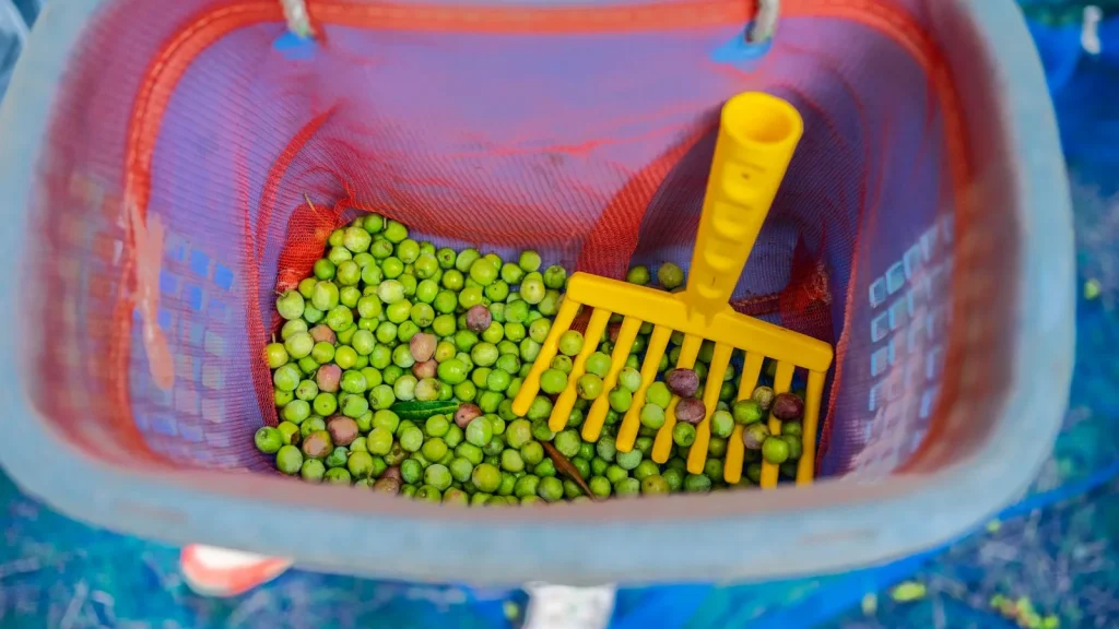 Sector agroalimentario beneficiario de nuevas subvenciones directas